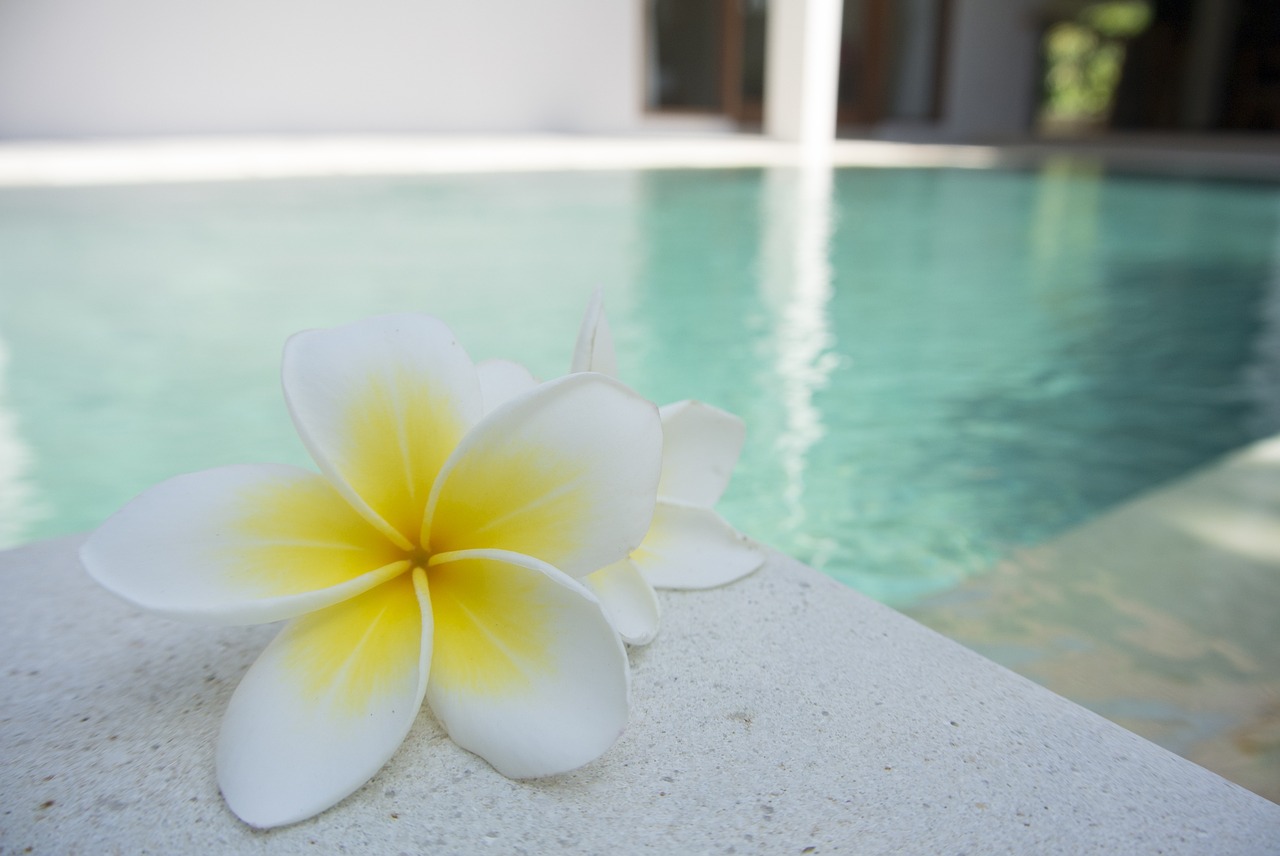 Pourquoi faire appel à un professionnel pour installer un SPA ?